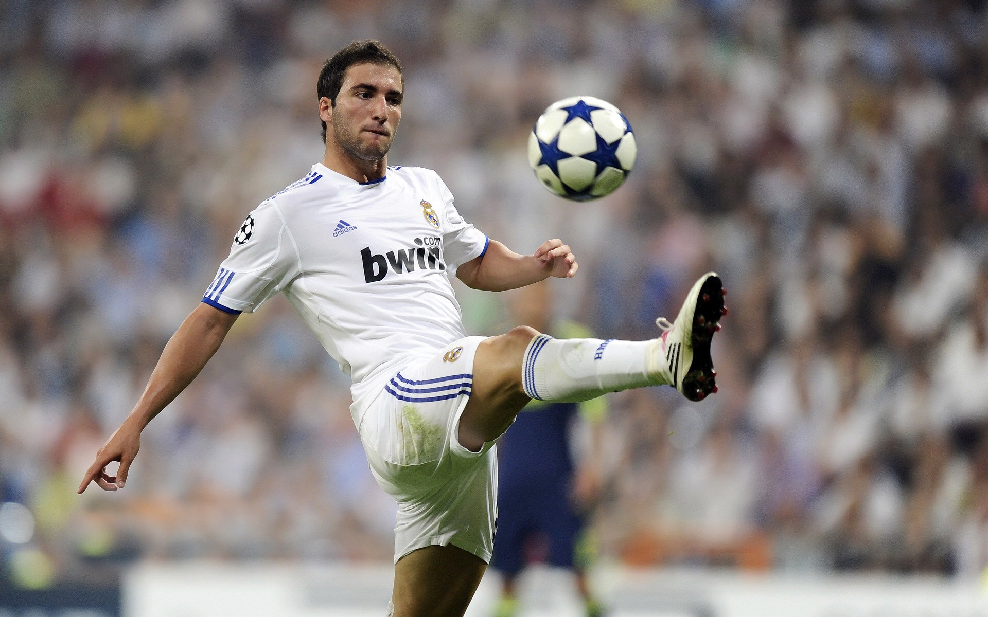 kaiyun app download-法兰克福主场大胜，德甲争冠形势岌岌可危，法兰克福比赛比分是多少